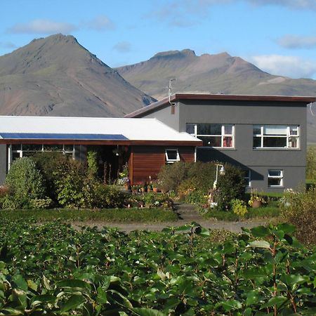 Dilksnes Guesthouse Höfn Eksteriør billede