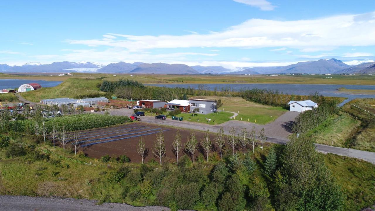 Dilksnes Guesthouse Höfn Eksteriør billede