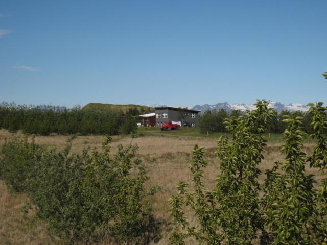 Dilksnes Guesthouse Höfn Eksteriør billede