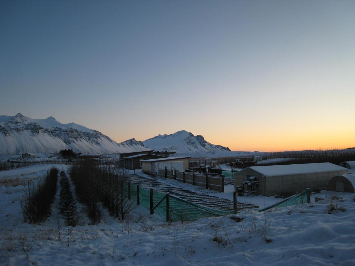 Dilksnes Guesthouse Höfn Eksteriør billede