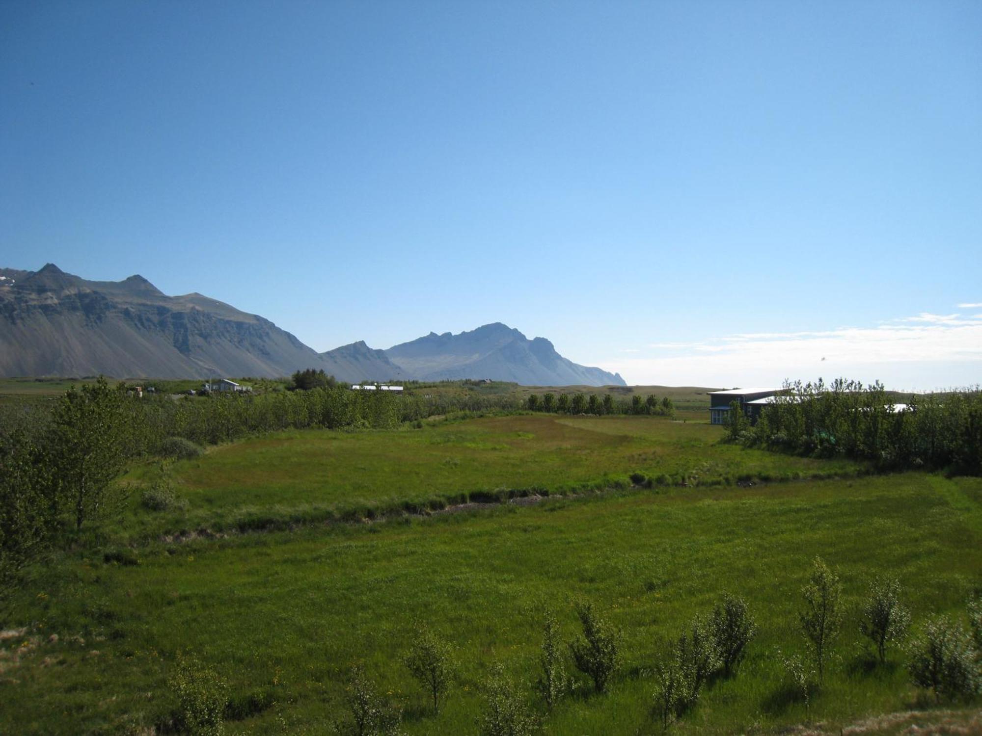 Dilksnes Guesthouse Höfn Eksteriør billede