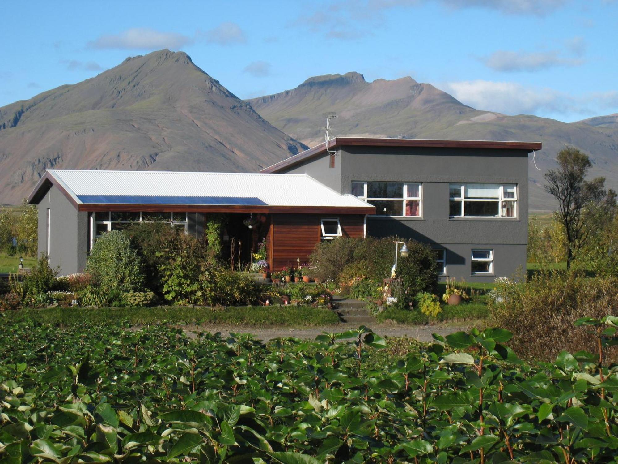 Dilksnes Guesthouse Höfn Eksteriør billede