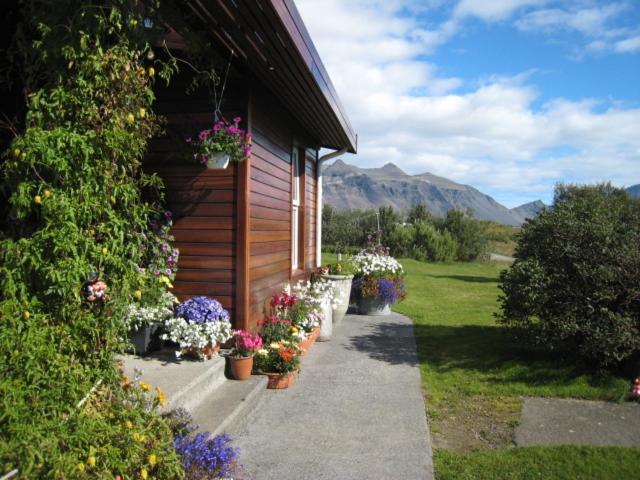 Dilksnes Guesthouse Höfn Eksteriør billede