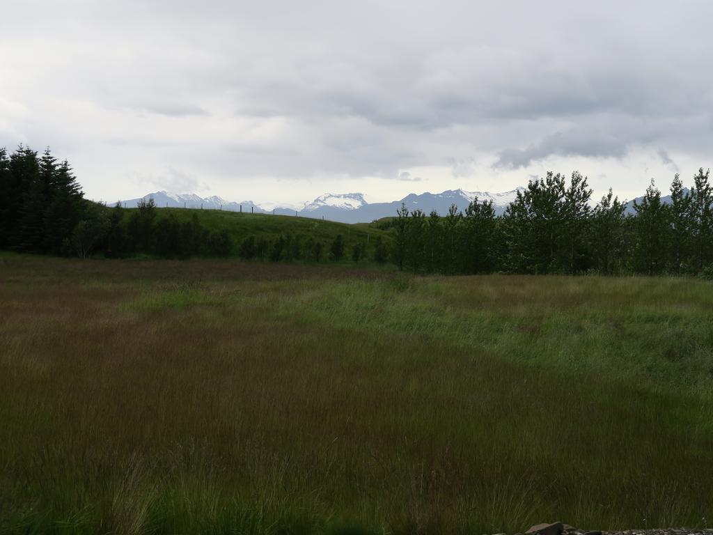 Dilksnes Guesthouse Höfn Eksteriør billede