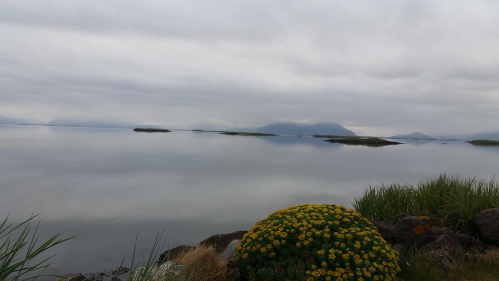 Dilksnes Guesthouse Höfn Eksteriør billede