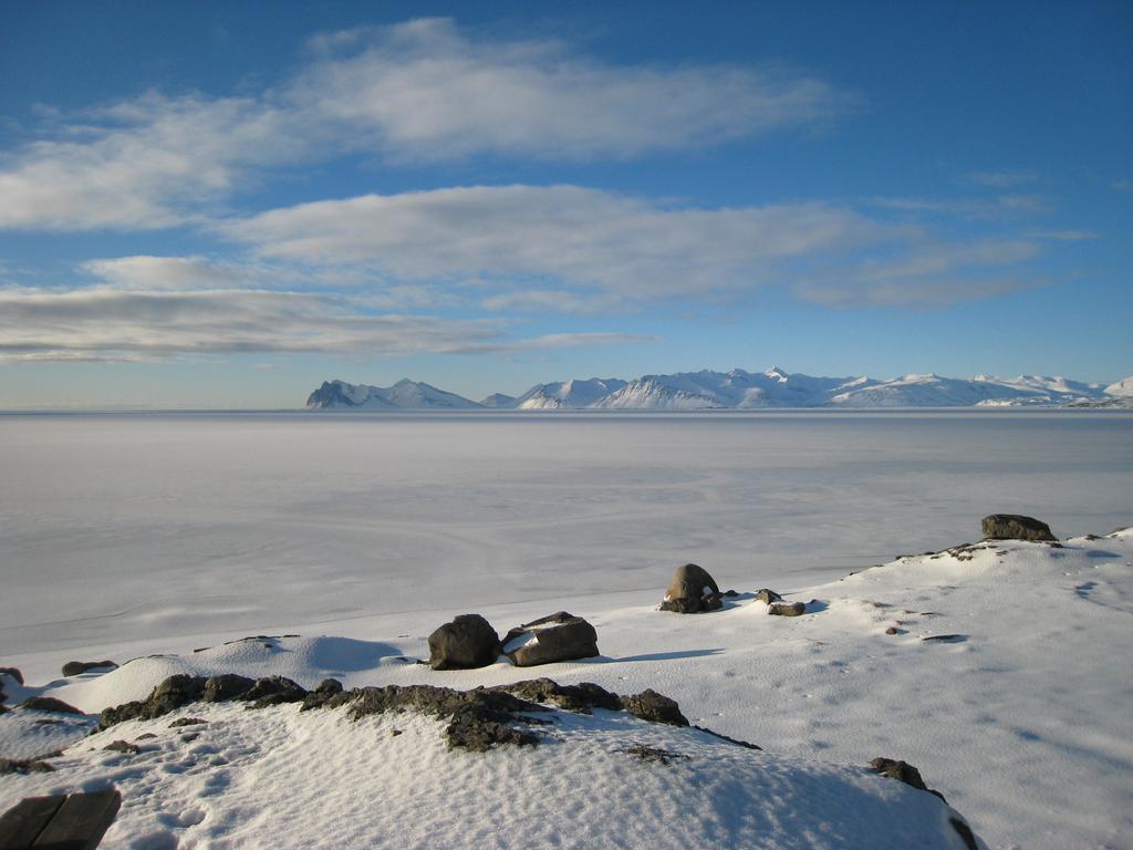 Dilksnes Guesthouse Höfn Eksteriør billede