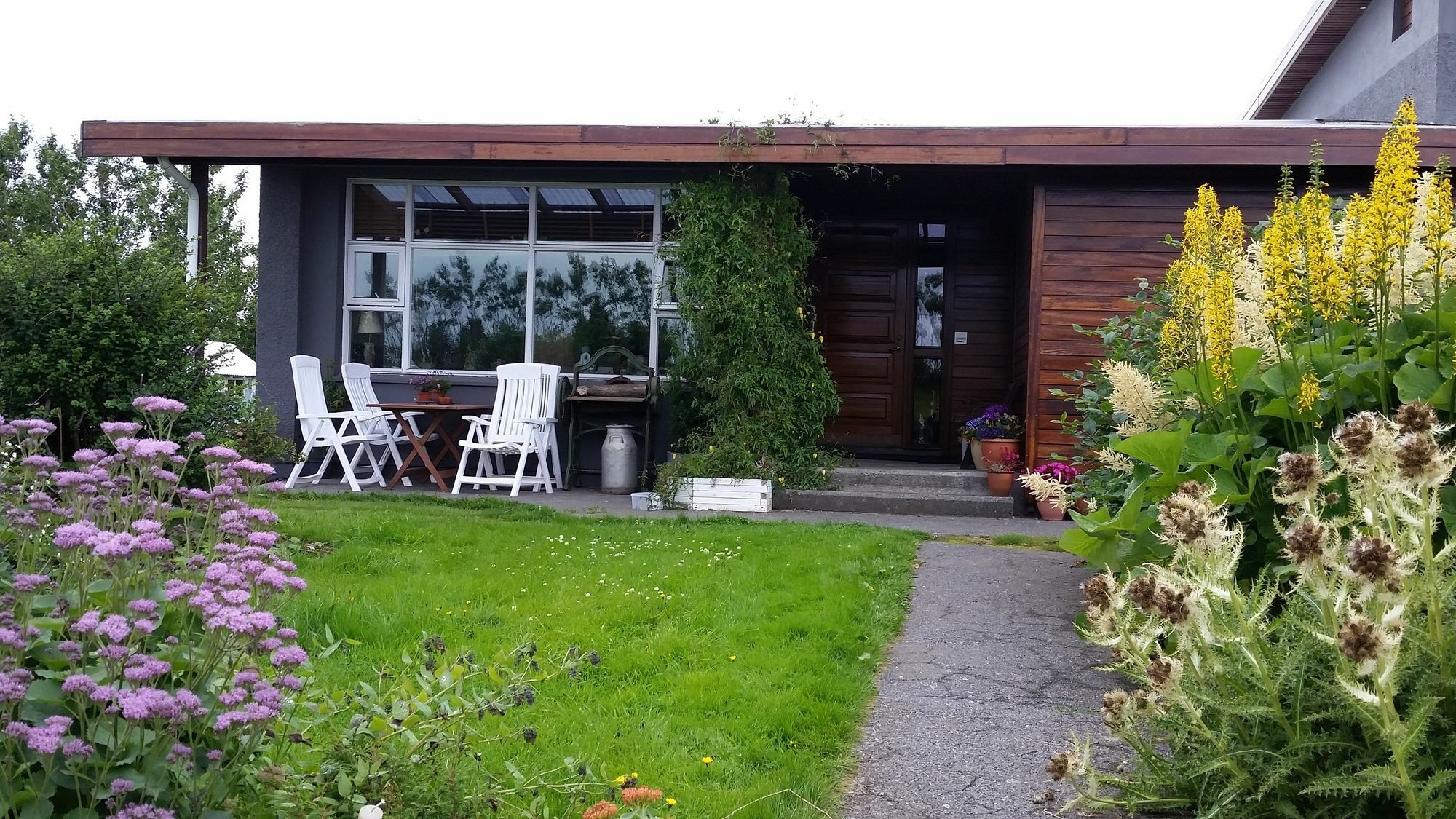 Dilksnes Guesthouse Höfn Eksteriør billede